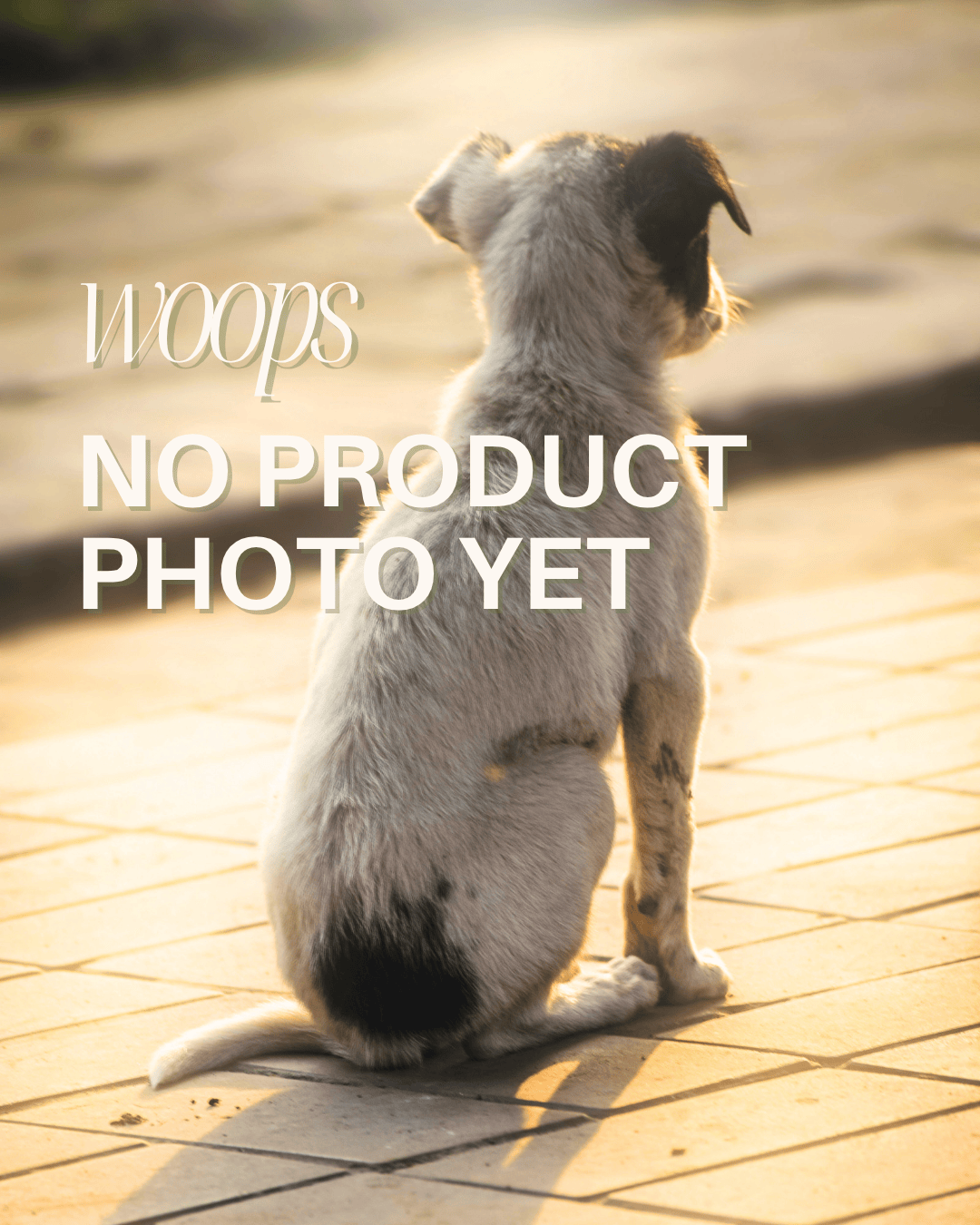 The Starter Care Kit